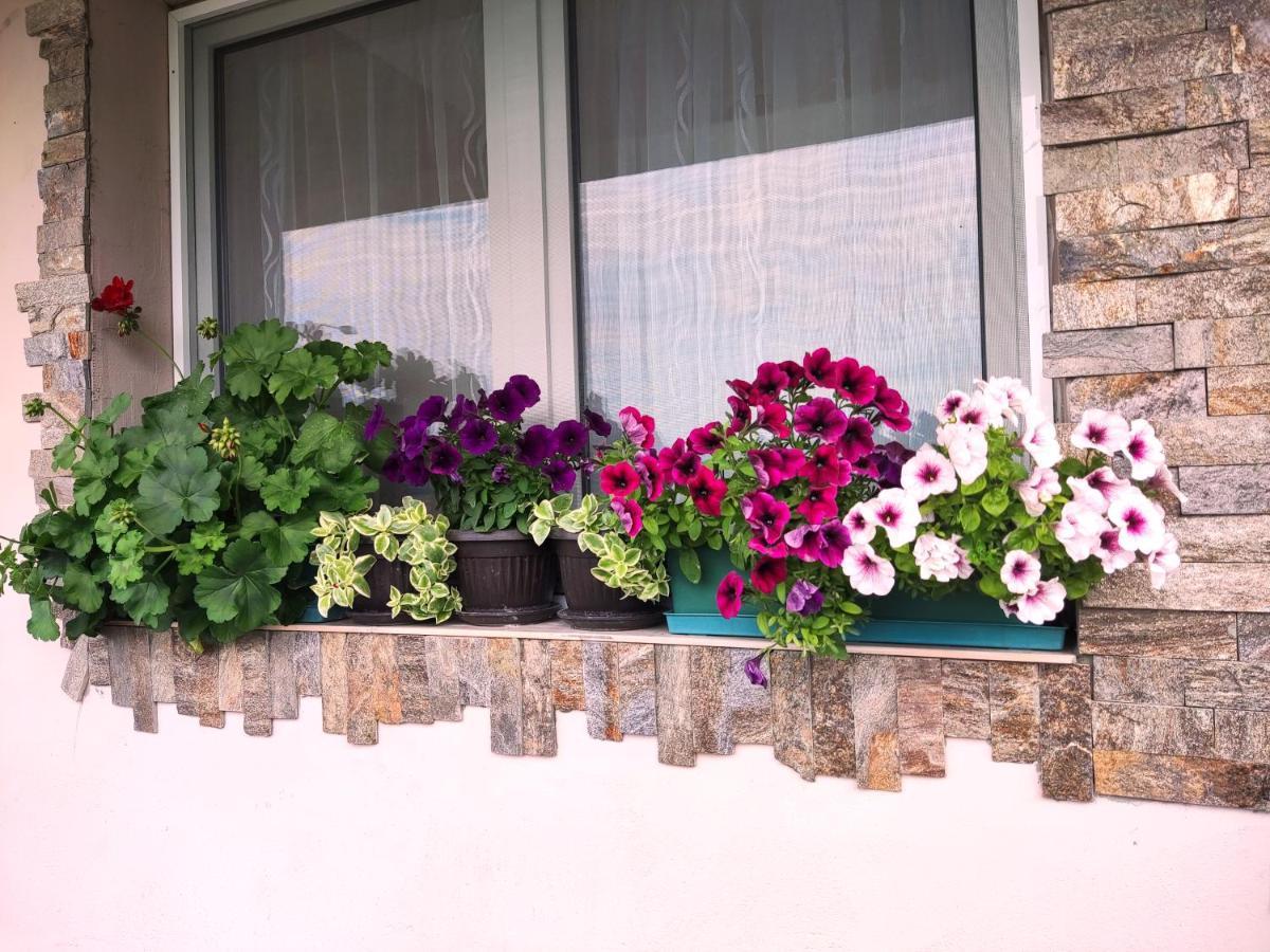 Apartman Juga Kremna Exterior foto
